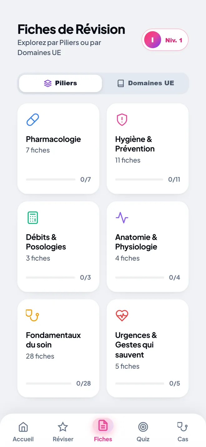 Les fiches classées par pilier : pharmacologie, hygiène, débits, anatomie, soins, urgences